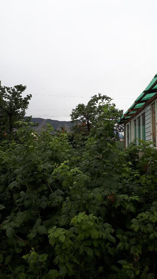 Nurgul Hotel Bokonbayevo Luaran gambar